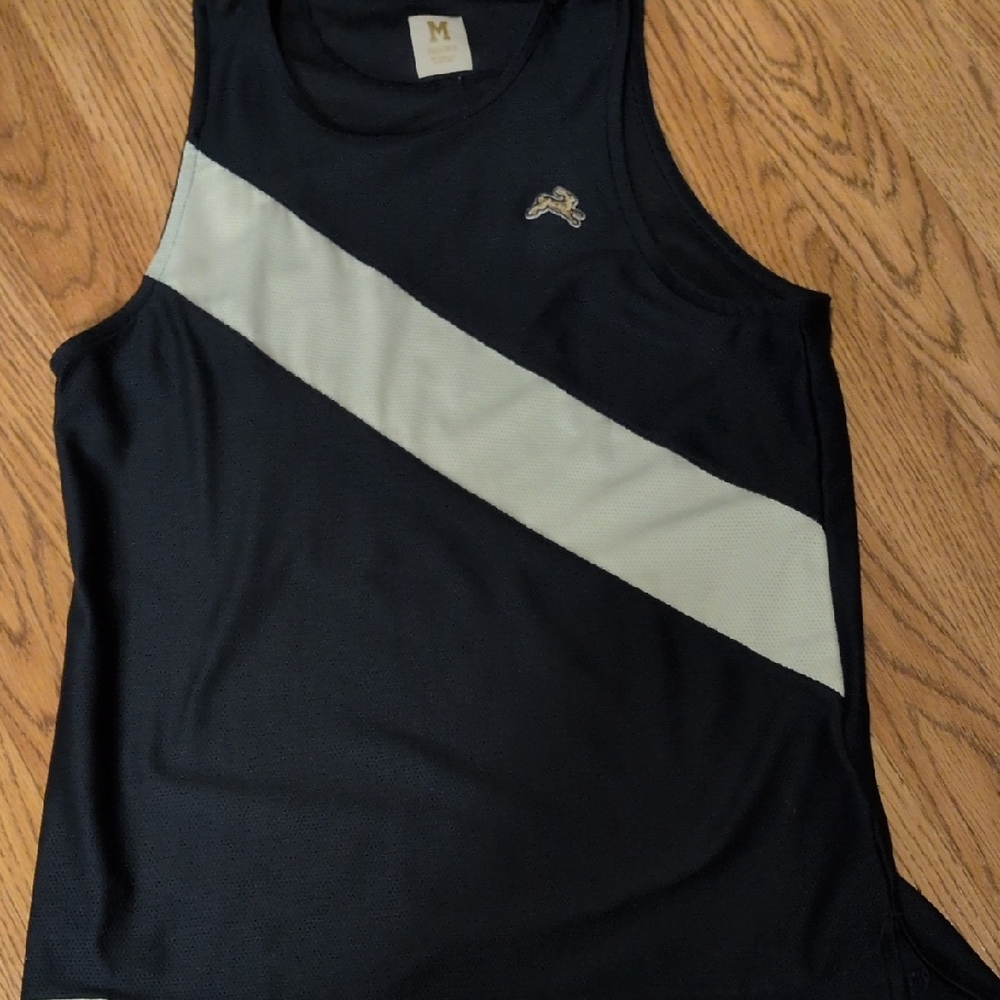 Tracksmith Navy and White Tank Tops
